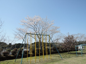 Dscn0251