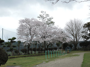 Dscn0402