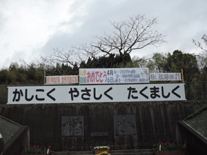 Dscn0419