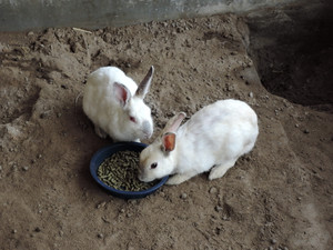 Dscn1244