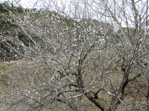 Dscn3779