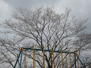 Dscn9081