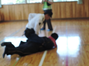 Dscn9467_2