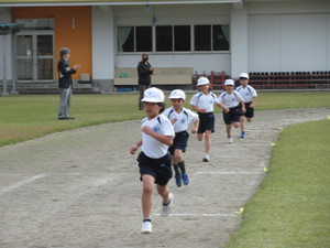 Img_9740 Img_9740