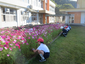 Img_2548 Img_2548