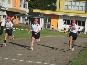 Img_2653 Img_2653
