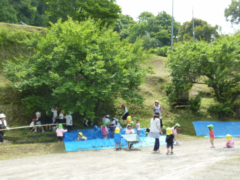 P1140689