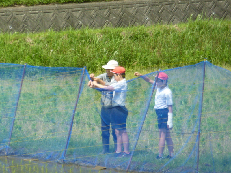P1150092
