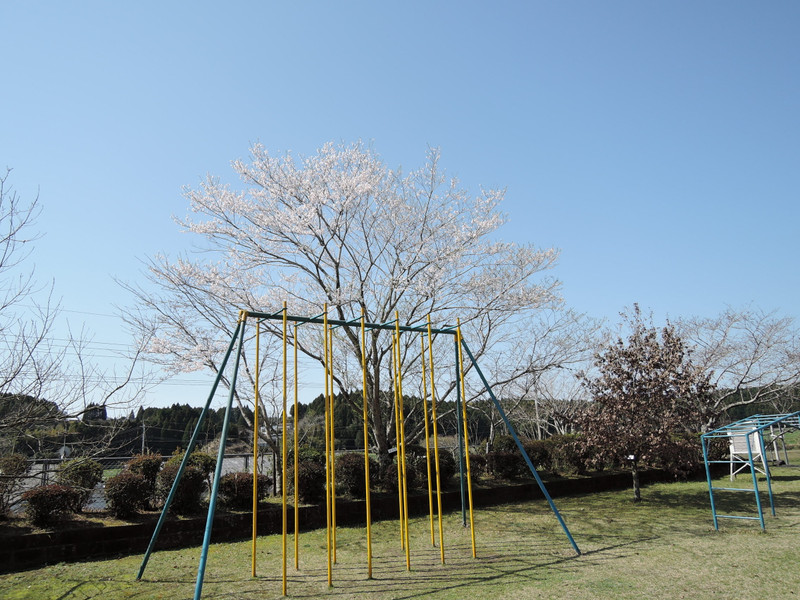 Dscn0251