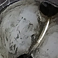 Img_6996