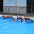 Img_1401